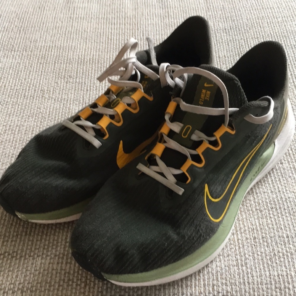 Nike Air Winflo 9 Men's Road Running Shoes